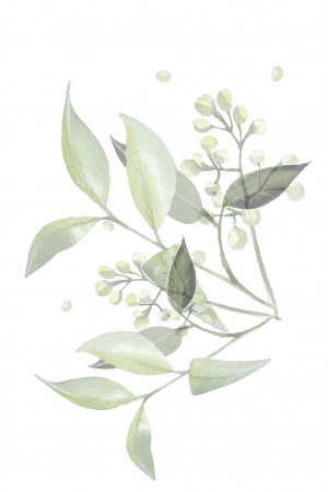 fleur2